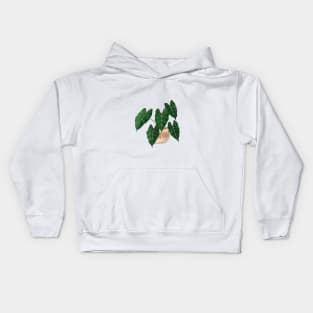 Potted plants illustration Kids Hoodie